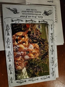 Vintage FALL Tole Pattern Packet Country Primitives GHOSTS Pumpkins - Picture 1 of 5