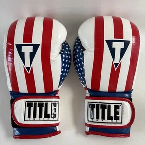 Guanti da allenamento Title Boxing Infused Foam Combat USA Hook and Loop grandi 14 oz - Foto 1 di 14