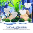20 Pcs Decorative Mirror Fish Tank Betta Toy Decorations Floating Sucker