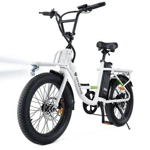 Adult Electric Cargo Bike 500W 60miles Oversized 20" Tires 48V Removable Battery - Picture 1 of 9