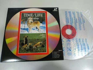Time Life el Loup Hyène Coyote Chacal - Laserdisc Ld - Photo 1/3