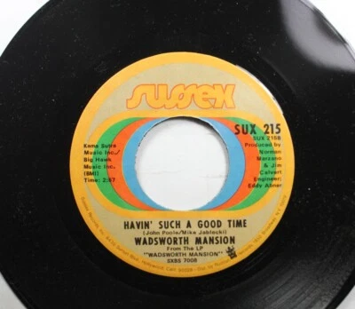 Rock 45 Wadsworth Mansion - Havin' Such A Good Time / Michigan Harry Slaughter O - Image 1 of 2