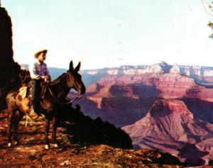 Grand Canyon National Park AZ Kaibab Trail Yaki Point Mountains Vintage Postcard - Picture 1 of 4