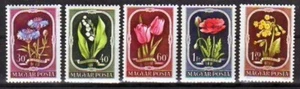UNGARN - 1951. Blumen - neuwertig - Bild 1 von 1