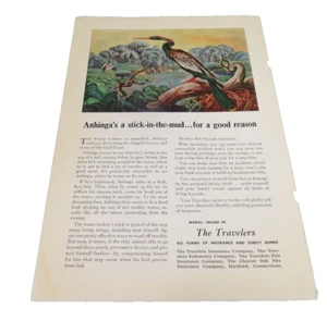 1940s The Travelers Insure  Paper Magazine Ad Water Turkey Art Aprox 8" x6.5" - Picture 1 of 1