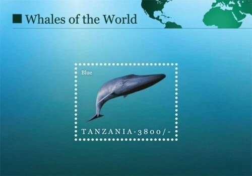 Tanzania 2010 - Whales of the World, Blue Whale - Souvenir Sheet - 2605 - MNH - Image 1 of 1
