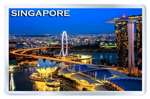 Singapore MOD6 Fridge Magnet Souvenir - Picture 1 of 1