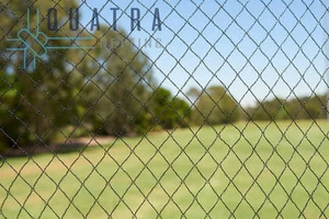 30m x 30 Black Anti Bird Netting - UV Treated - Fruit Tree Net - Picture 1 of 4