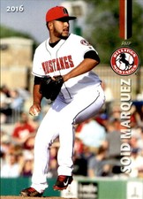 2016 Billings Mustangs Grandstand #17 Soid Marquez Cumana Venezuela VZ Card