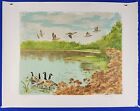 Pat Berger Signed &amp; Numbered Untitled &quot;Flying and Resting Ducks at Lakeside&quot;
