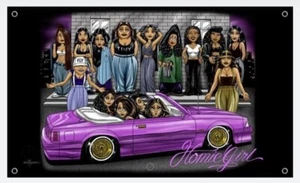 DGA BANNERS HOMIES HOMIE GIRL 3" x 5" BRAND NEW BANNER GANGSTER LOWRIDER - Picture 1 of 1