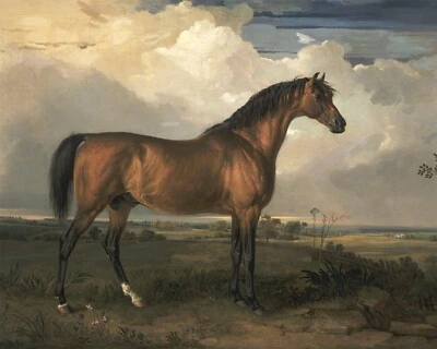 1800s Antique Horse Painting Reproduction Giclee Print on Fine Art Paper