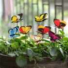 Colorful Outdoor Decor 50 Pieces Butterfly Stakes for Garden and Vase Display