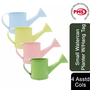 Small Water can Planter with hang Tag 4 assorted Colours - Picture 1 of 12