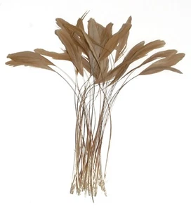 30 Pcs BURNT COQUE FRINGE - BEIGE 8-12" Tall Feathers Pad - Picture 1 of 3