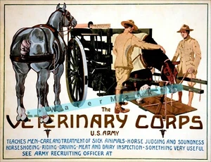 US Army Veterinary Corps 1919 WW1 Vintage Poster Druck Retro Style Dekor Kunst - Bild 1 von 4