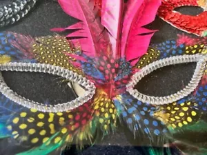 Vintage framed feather and sequin masks, Mardi Gras, shadow box, oak frame - Picture 1 of 7