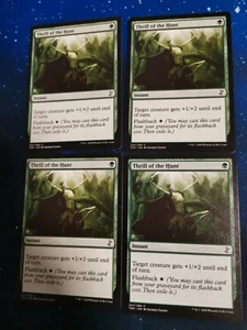 MTG: Thrill of the Hunt - Time Spiral - Magic Card playset - Picture 1 of 1