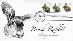 21-062, 2021,Brush Rabbit, First Day Cover, Sacramento CA, SC 5544, Booklet - Picture 1 of 1