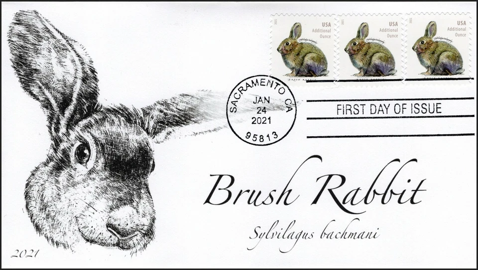 21-062, 2021,Brush Rabbit, First Day Cover, Sacramento CA, SC 5544, Booklet - Image 1 of 1