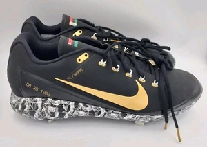 Nike Flywire BHM schwarz History Month Herren Gr. 13 neu ohne Karton AO3625-077 - Bild 1 von 14