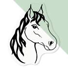 'Horse's Face' Clear Decal Stickers (DC002176)