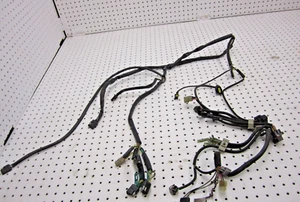 Arctic Cat ZR 600 CCE 2002 ARNÉS DE ALAMBRE 0686-750 - Imagen 1 de 12