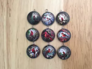 Dijes cabujón de vidrio fotográfico cardinal para hacer joyas y artesanías - Imagen 1 de 20
