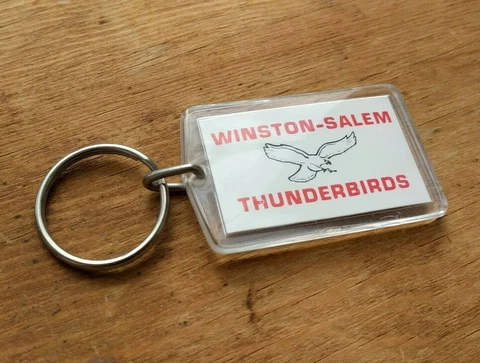 VTG Wheeling Thunderbirds Hockey Keychain Souvenir Nailers WV ECHL Sport Trinket Cover