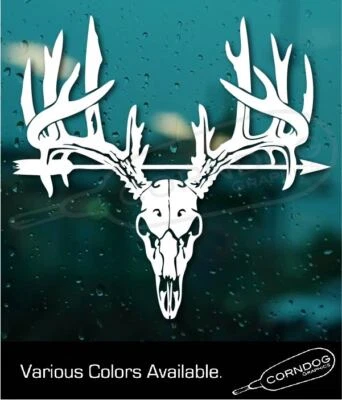 Flecha calavera de ciervo vinilo pegatina calcomanía cabaña cola blanca mula buck trofeo arco Foto 1 de 4