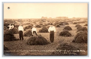 RPPC Scott City KS ~Stacks of alfalfa @  Loughs  farm ~ Scott County Kansas - Picture 1 of 2