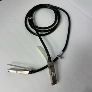 Amphenol Spectra-Strip 10123187-3020LF Cavo SAS esterno, 1 cavo dati QSPF + 2 m - Foto 1 di 9