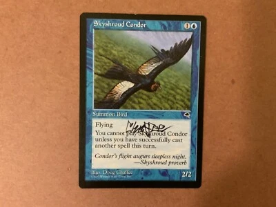 MTG Magic Skyshroud Condor Signed Artist Proof x1 TMP Tempest Doug Chaffee - Image 1 of 2
