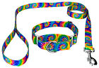Country Brook Petz® Classic Tie Dye Martingale Dog Collar And Leash