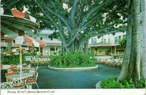 Moana Hotels berühmter Banyan Court, Waikiki Beach, Hawaii Postkarte - Bild 1 von 2