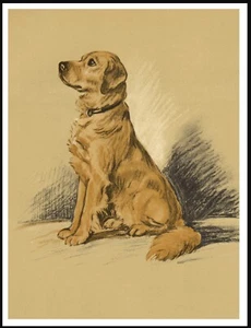 GOLDEN RETRIEVER SEATED DOG LOVELY VINTAGE STYLE DOG ART PRINT POSTER - Picture 1 of 1