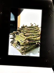 Lot of 44 MODERN ARTWORKS/INSTALLATIONS Vintage 35mm Color Film Slides - Picture 1 of 9