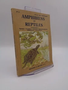 Anfibios Y Reptiles Fascículo I Apodos - Urodeles - Anuros - Rinocéfalos - Imagen 1 de 4