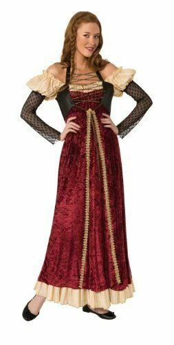 Medieval/Renaissance Maiden Costume Burg/Tan/Blk Poly Velour Costume Dress - Image 1 of 1