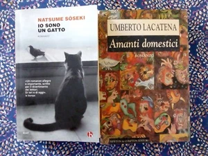 lotto n.2 libri narrativa italiana straniera - Foto 1 di 2