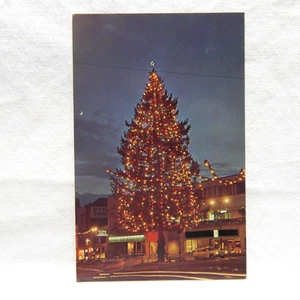 CHAMPION CHRISTMAS TREE TACOMA WASHINGTON - Picture 1 of 2