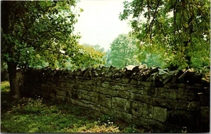 Belle Meade Mansion Nashville Tennessee Chrome Postcard F2 - Picture 1 of 2