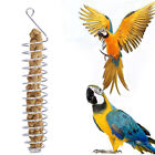 Parrot Food Fruits Basket Millet Stainless Steel Feeding Device Bird Cage Feeder