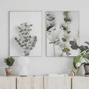 Botanical Eucalyptus Leaves Modern Canvas Paintings Posters and Prints Interior - Picture 1 of 12