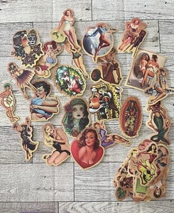 Vintage Sexy Pinup Girl Stickers Laptop Planner Journal Phone Toolbox St485 - Picture 1 of 3