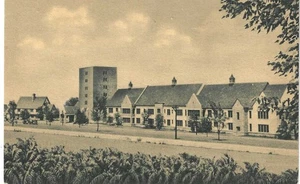 Hermann M. Biggs Memorial Hospital, Ithaca, NY, 1920's unused sepia card - Picture 1 of 2