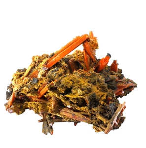 Crocoite Crystals. Adelaide Mine Dundas. Tasmania Australia (EA10253) Orange Red - Picture 1 of 9