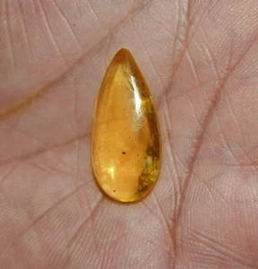 5.85 Cts. Natural Genuine Old Baltic Amber Untreated Certified Gemstone - Bild 1 von 4