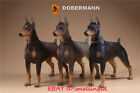 1:6 Scale Mr.Z Animal Toys Doberman Resin Figure 3 Color Model Decoration Gift 