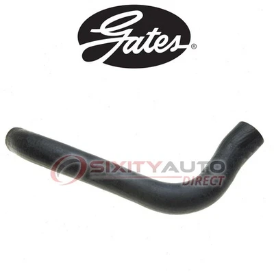 Gates Lower Radiator Coolant Hose for 1973-1974 Chevrolet G20 Van 4.1L 4.8L nf - Изображение 1 из 4
